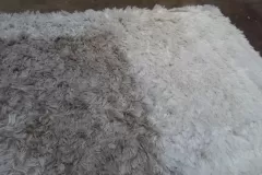ANTES Y DESPUÉS DE LIMPIEZA DE ALFOMBRAS