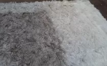 Antes-y-Despues-Alfombras-2