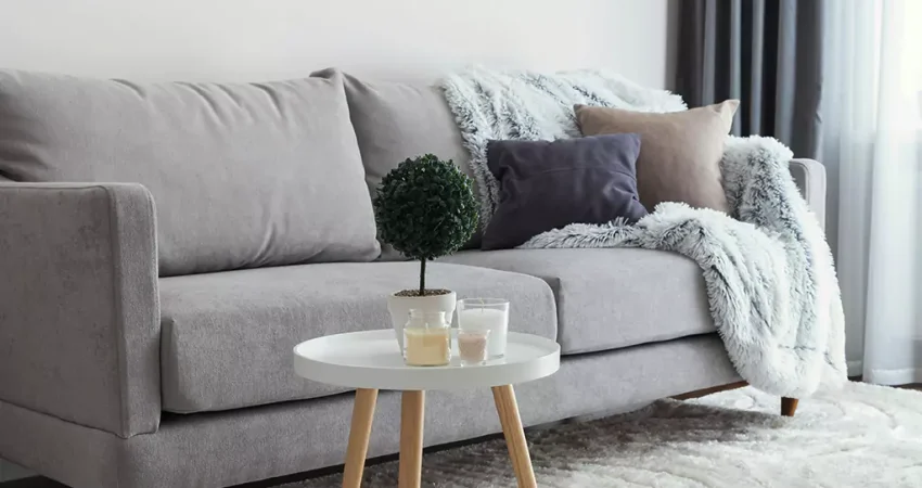 &iquest;C&oacute;mo prolongar la vida &uacute;til de sus alfombras y tapicer&iacute;as?
