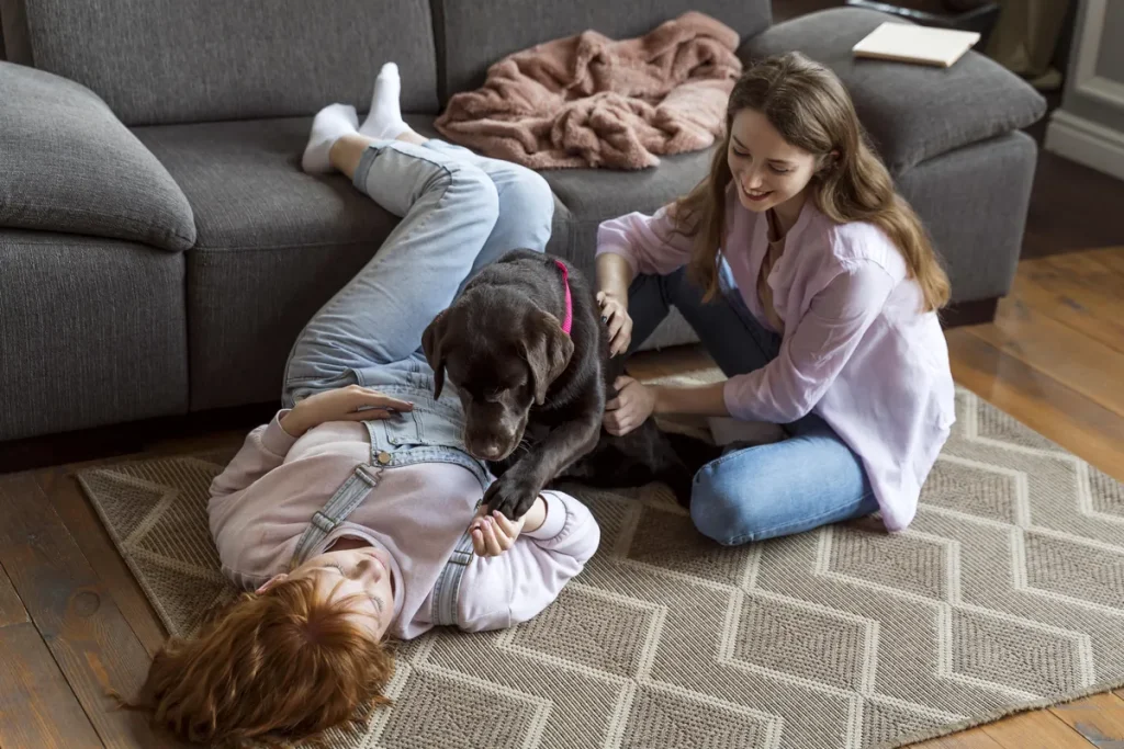 señales de que su alfombra necesita limpieza